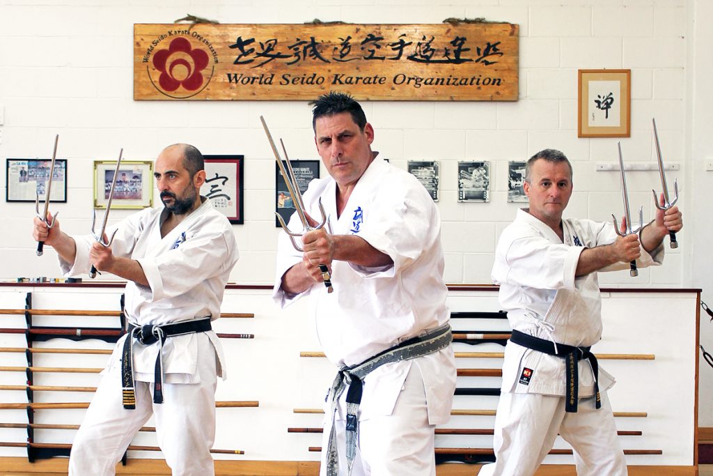World Seido Karate Organization